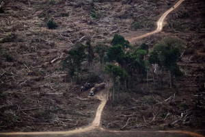 Earth’s Planetary Boundaries Massively Breached, Scientists Warn